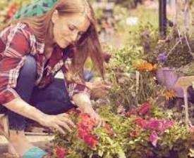 Certificate in Gardener