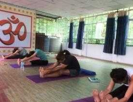 Advanced Yoga Practitioner & Therapy Training