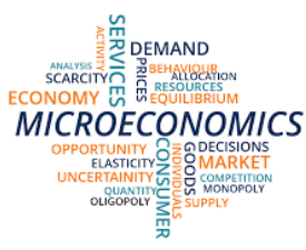 Certificate in Microeconomics