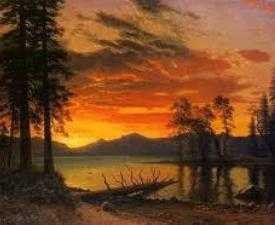 Certificate in Oil Painting