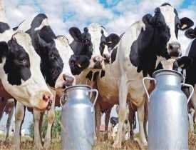 Advanced Certification in Dairy Business & Milk Processing