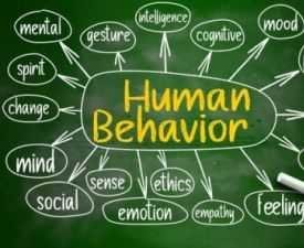 Certificate in Human Behaviour & Emotional Intelligence