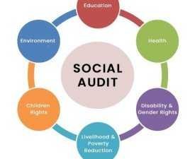 Professional Certificate in Governance and Accountability