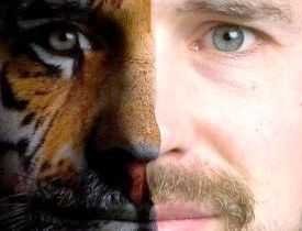 Certificate in Photoshop