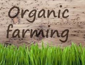 Certificate in Organic Farming Business