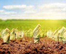 Certificate in Agri Business Management