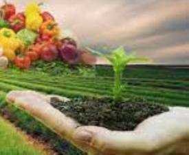 Diploma in Urban Gardening & Terrace Farming