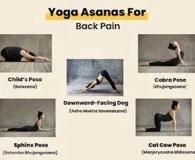 Diploma in Yoga for Back Pain