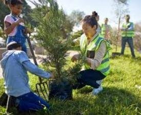 Diploma in Forest Management and Conservation